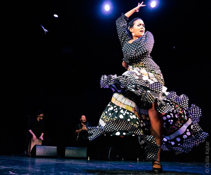 A flamenco dancer in a black, white and flower patterned dress raises her right arm and looks over her left shoulder.