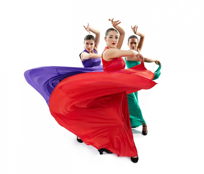 Flamenco Vivo Carlota Santana Seeks Digital Marketing Intern