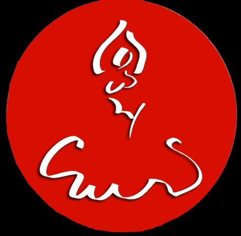 Flamenco Vivo seeks part time Studio Manager