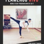 Flyer for FVCS Work/Study Program