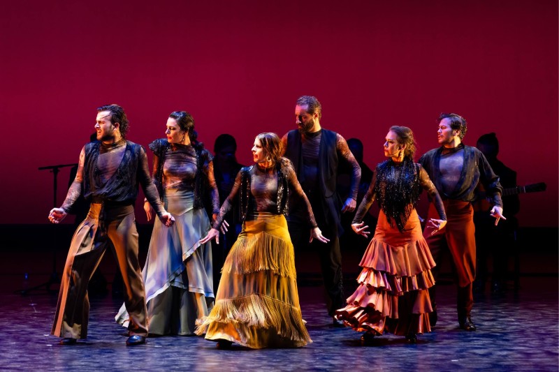 Six flamenco dancers in earth tone colored costumes stand in a group looking to the left.