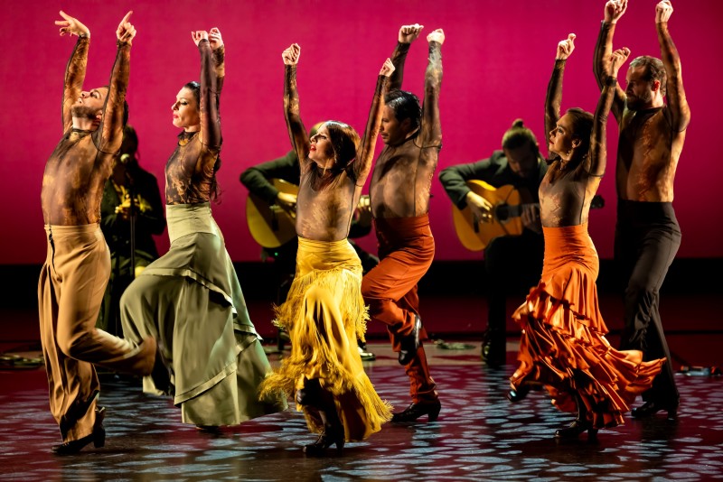 Dancers in brightly colored costumes face the left with their arms up. 
