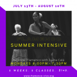 A flier depicting the above information. 