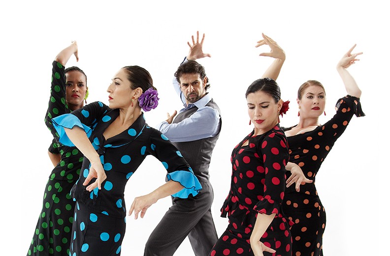 Flamenco Vivo seeks Arts Administration Intern