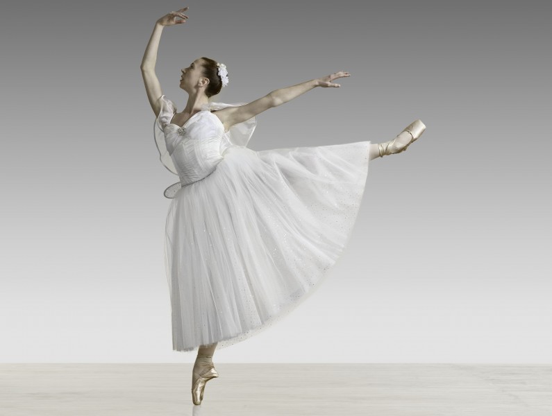 Advanced/Professional Ballet Class