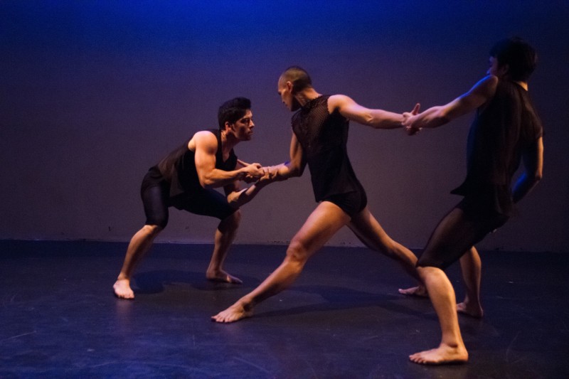Presenting the works of emerging and established choreographers