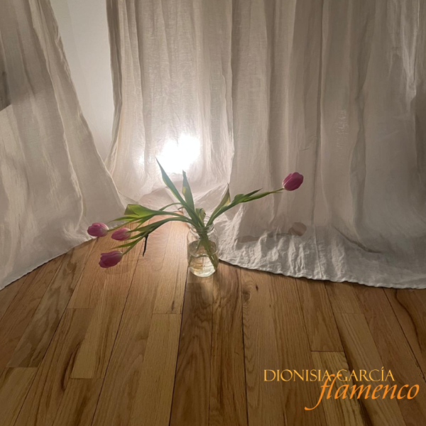 Absolute Beginners Workshop