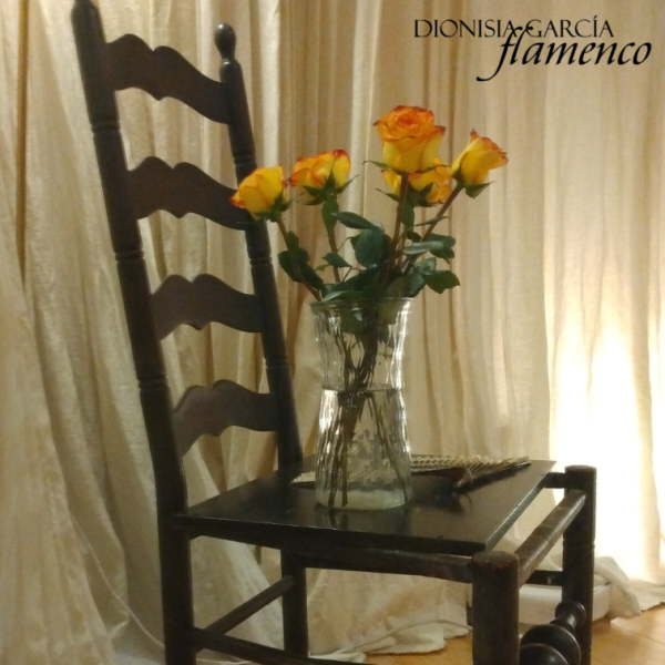 Absolute Beginners Workshop