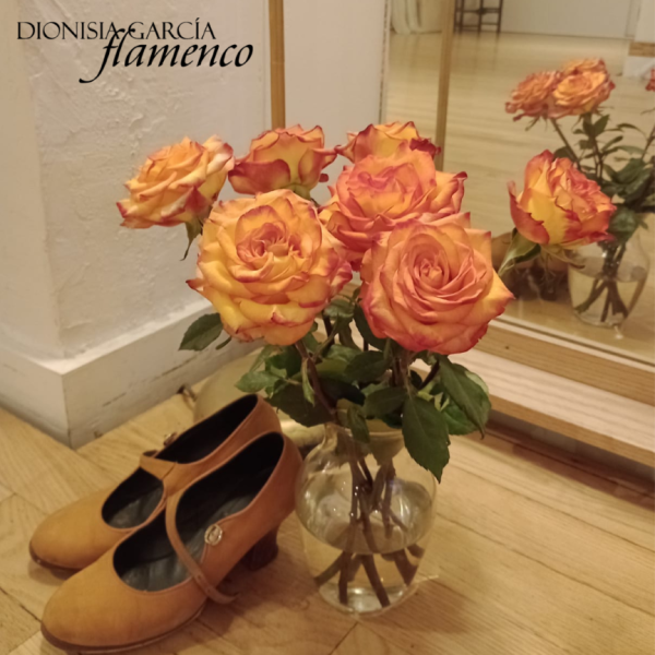 Absolute Beginners Workshop