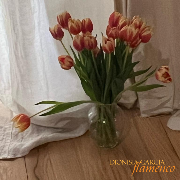 Absolute Beginners Workshop