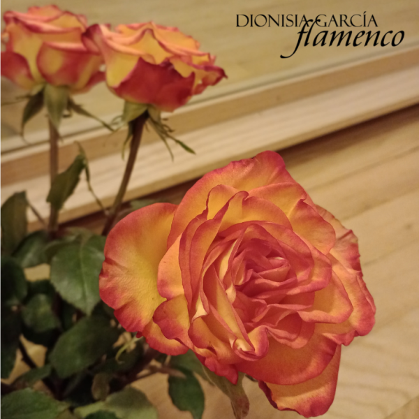 Absolute Beginners Workshop