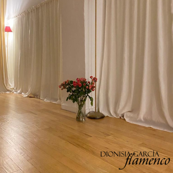 Absolute Beginners Workshop