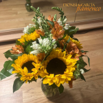 Absolute Beginners Workshop