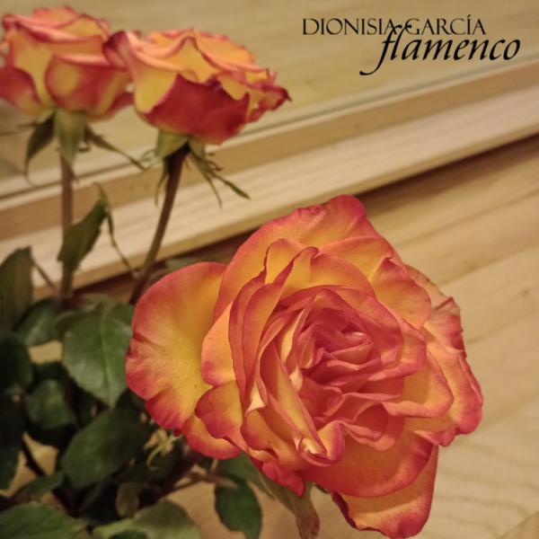 Absolute Beginners Workshop