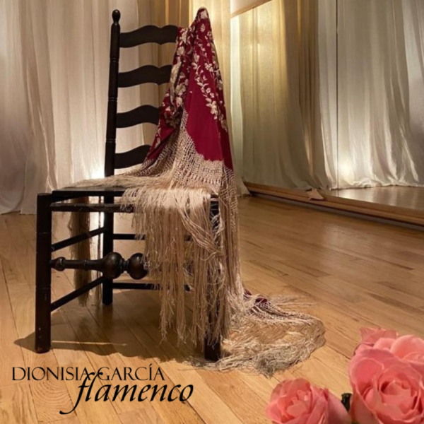 Absolute Beginners Workshop