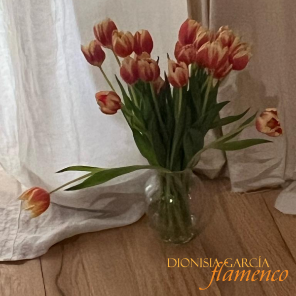 Absolute Beginners Workshop