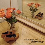 Intro to Flamenco