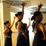 Introduction to Flamenco