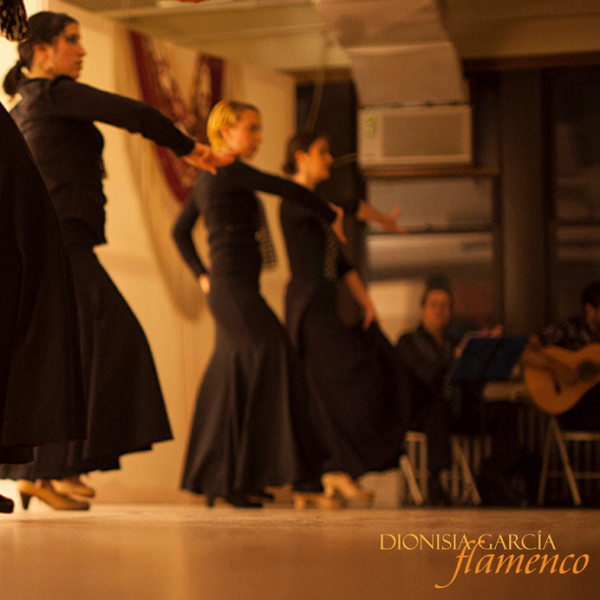 Absolute Beginners Workshop