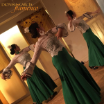 Absolute Beginners Workshop