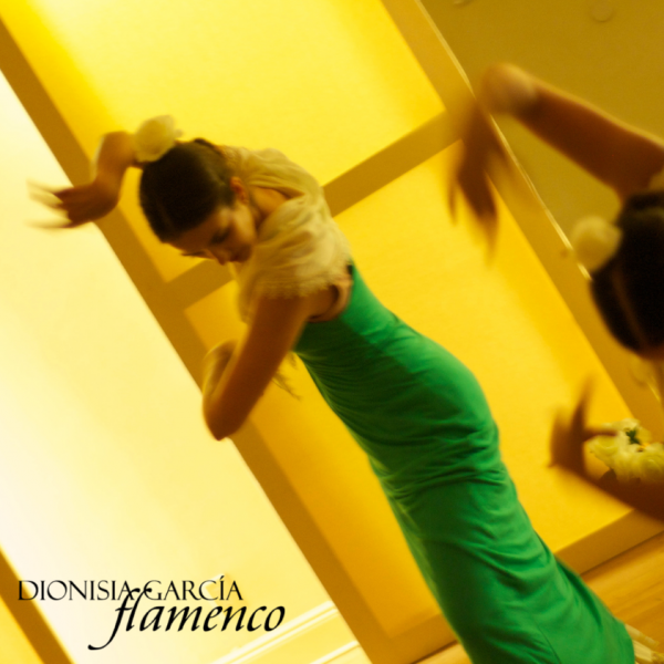 Absolute Beginners Workshop