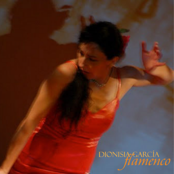 Absolute Beginners Workshop