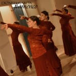 Absolute Beginners Workshop