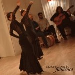 Absolute Beginners Workshop