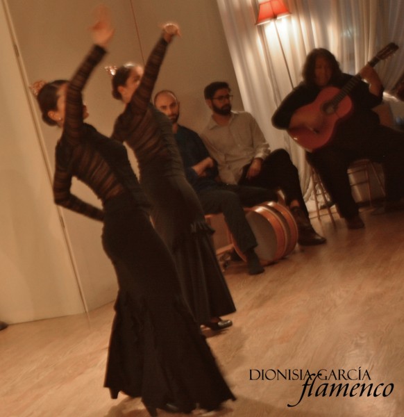 Absolute Beginners Workshop