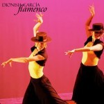 Absolute Beginners Workshop