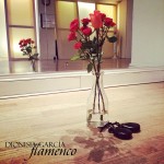 Beginners castanets class