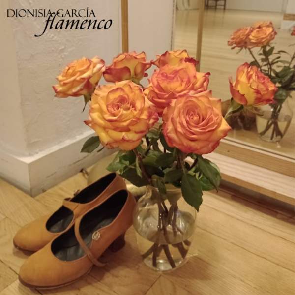 Absolute Beginners Workshop