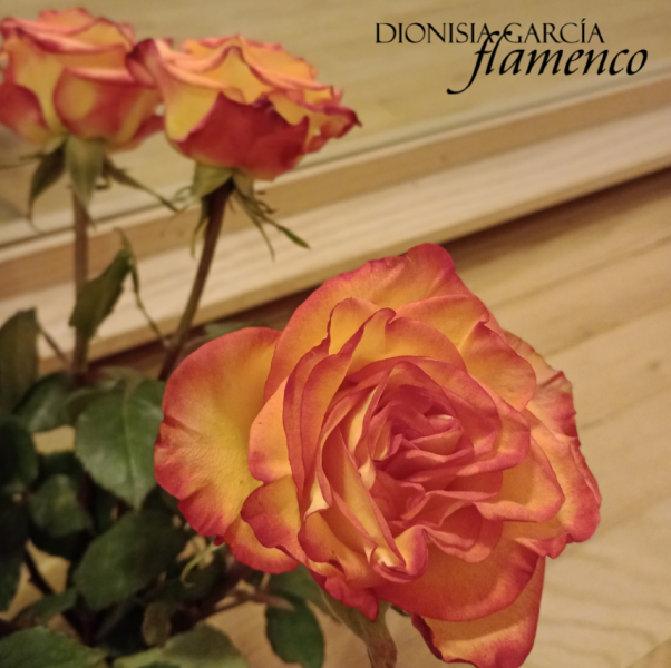 Intro to Flamenco