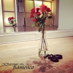 Beginners castanets class