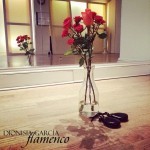 Beginners castanets class