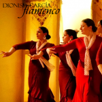 Absolute Beginners Workshop