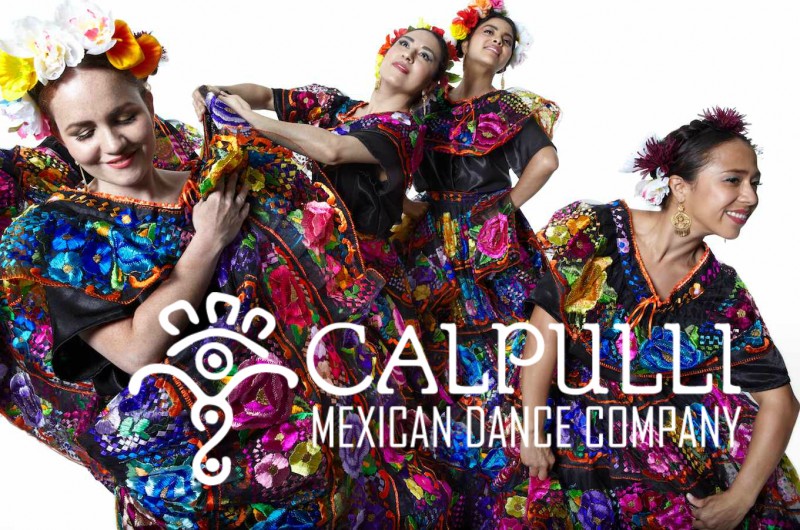 Calpulli seeks full-time Managing Director