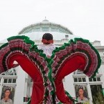 Calpulli at the New York Botanical Garden