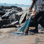 On the shore of Manhattan Beach a woman pulls out a blue fabric stuck under de sand and between the rocks.