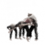 Bodystories Presents reeling->healing