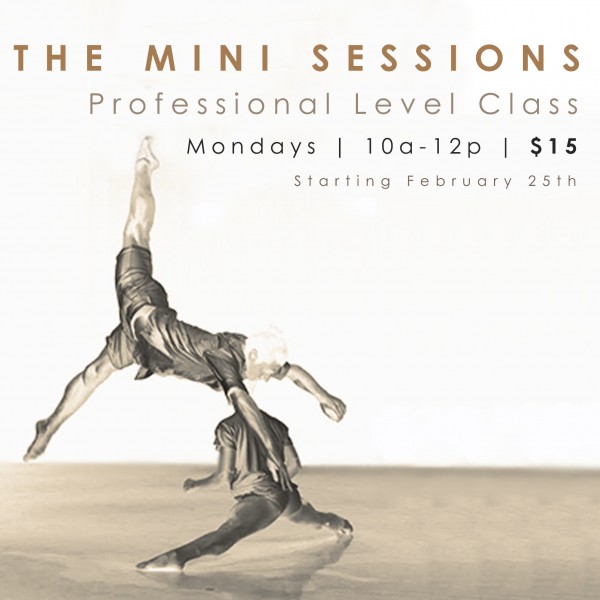 The Mini Sessions - Professional Level Class