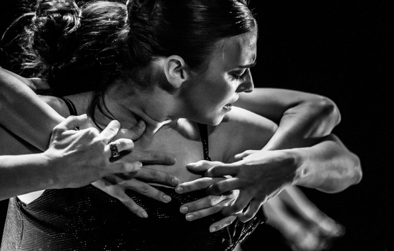 Peridance Contemporary Dance Company Male & Female Audition