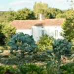 A white house with faded red shingles is framed by green foliage and a blue sky.