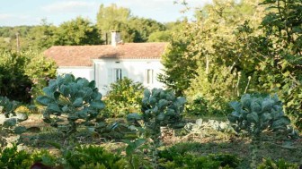 A white house with faded red shingles is framed by green foliage and a blue sky.