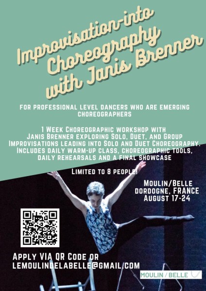 Infographic for the Janis Brenner Workshop.