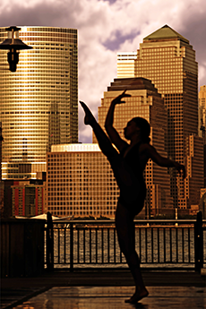 Experienced Grants-Writer sought 