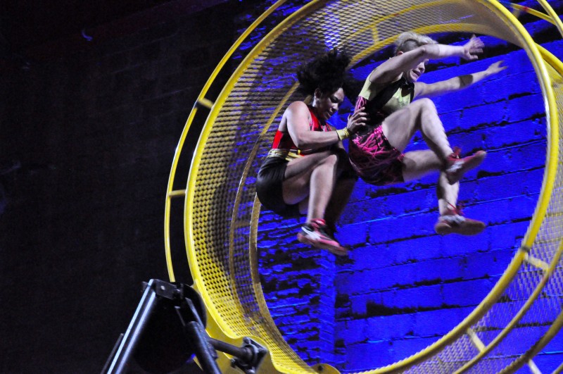 AUDITION FOR STREB Extreme Action Company