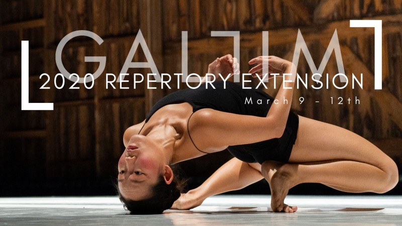 GALLIM Company Artist performs at the 2019 Jacob's Pillow Festival, shared to promote GALLIM's 2020 Repertory Extension Program