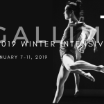 Gallim 2019 Winter Intensive