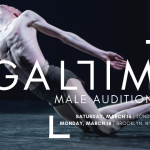 GALLIM 2019 MALE AUDITIONS - UK and USA